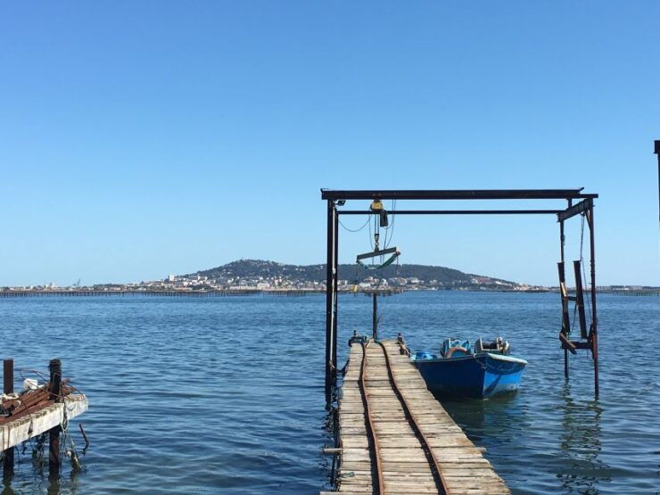 Highlights of Sète, Wine and Oyster Tour - City Exploration & Food Market