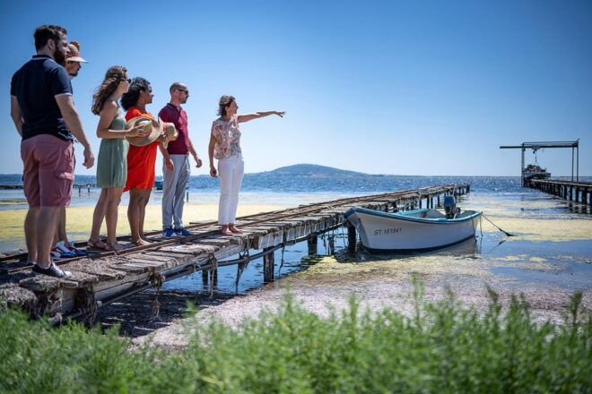 Highlights of Sète, Wine and Oyster Tour - Family Wine Estate Visit