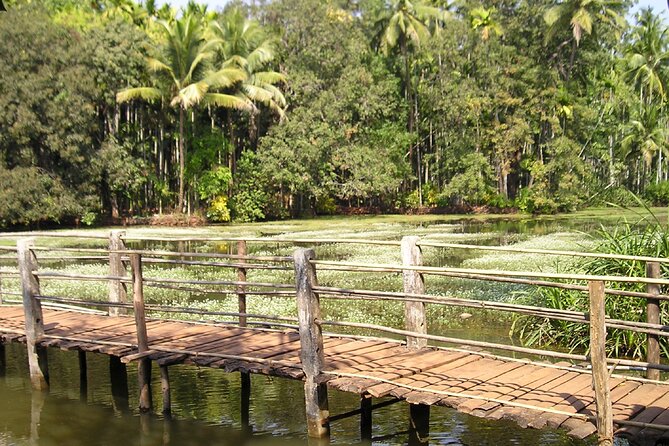 Highlights of South Goa With Spice Plantation Tour (Guided Full Day Tour by Car) - Tour Itinerary