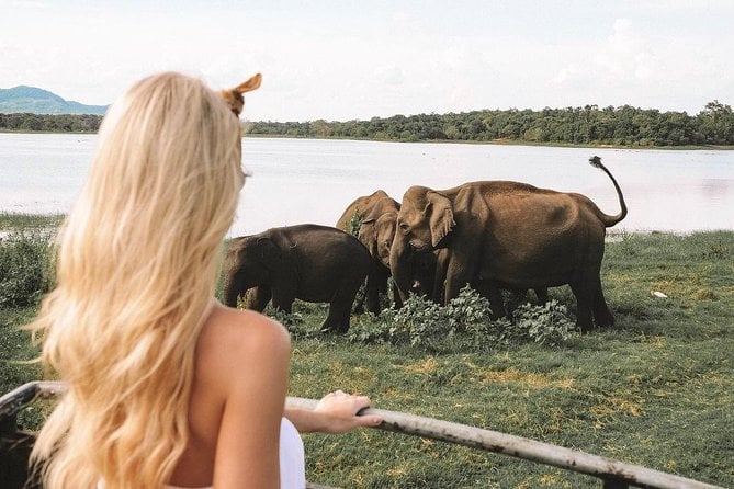 Highlights Of Sri Lanka | 7 Days - Tips for a Memorable Trip
