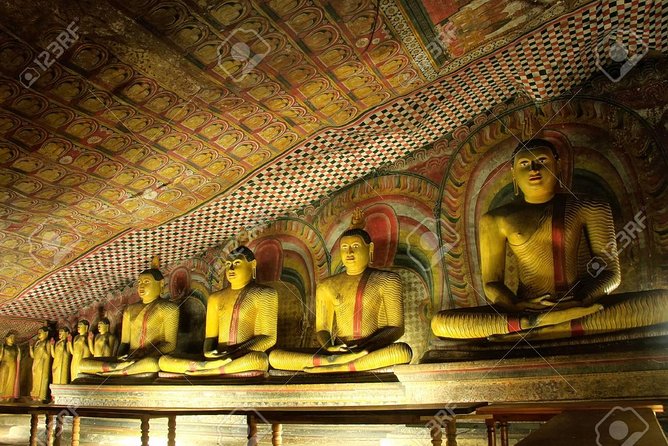 Highlights Of Sri Lanka- 7 Days Tour - Cultural Immersion in Kandy