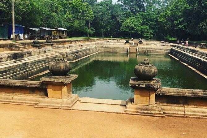 Highlights of Sri Lanka 8 Days Private Tour - Wildlife Encounters