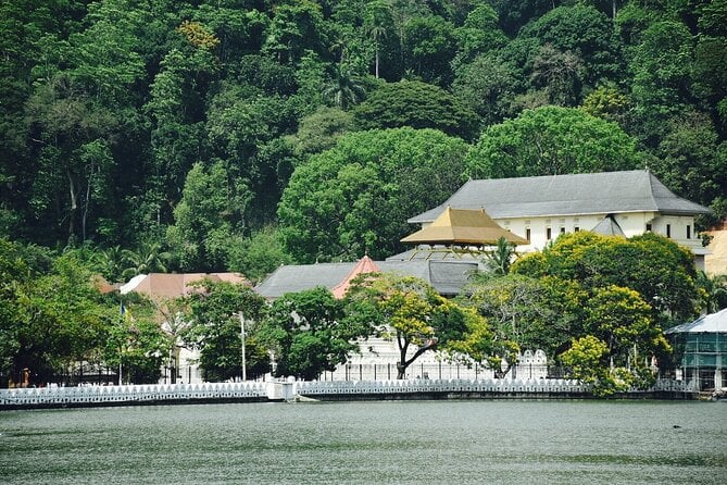 Highlights of Sri Lanka 8 Days Private Tour - Local Traditions and Festivals