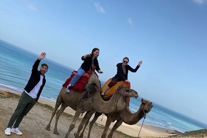 Highlights of Tangier Half Day Tour - Common Questions