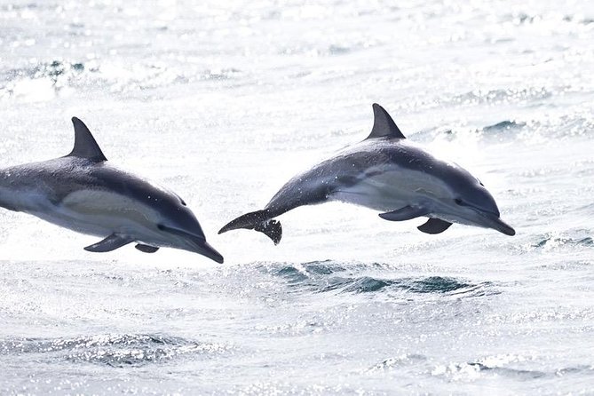 Highlights of Tasmania Group 7 Days Touring Package - Day 4: Unforgettable Wilderness Experience