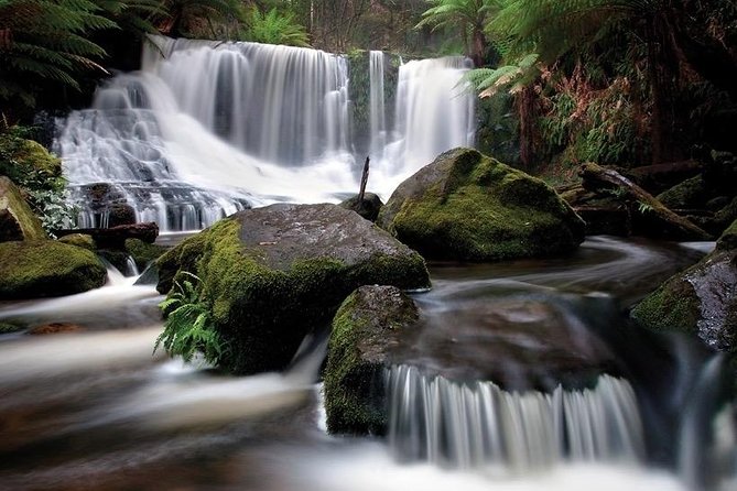 Highlights of Tasmania Group 7 Days Touring Package - Day 7: Farewell Tasmania, Departure