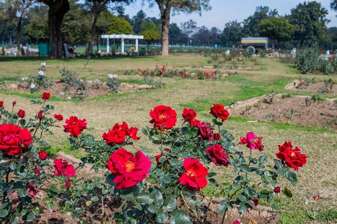 Highlights of the Chandigarh (Guided Half Day City Tour) - Tour Overview