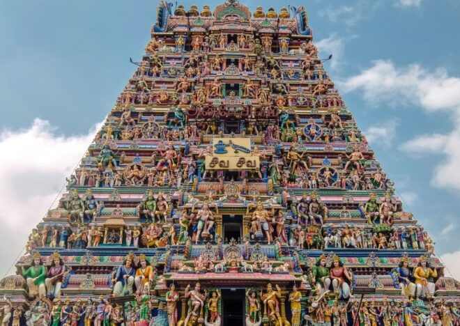 Highlights of the Chennai (Guided Half Day City Tour) - Parthasarathy Temple - Pallavas Creation
