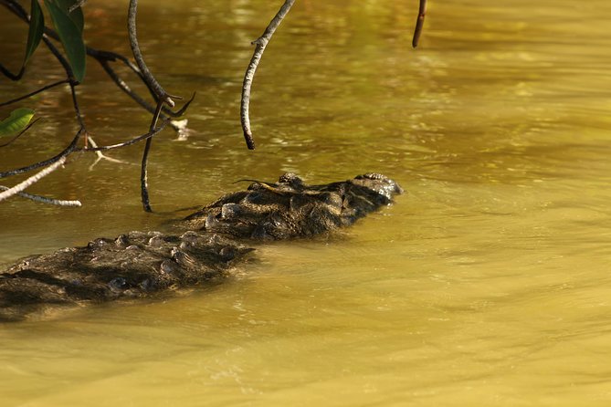 Highlights of the Yucatan: 4-Day Private Tour From Cancun  - Playa Del Carmen - Pricing