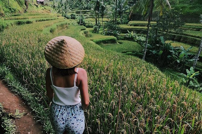 Highlights of Ubud: Nature, Rice Terrace, Waterfall, Temple and More - Tegenungan Waterfall Exploration