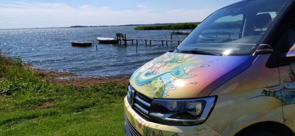 Highlights-Tour - Similarities Among Guided Tour Options