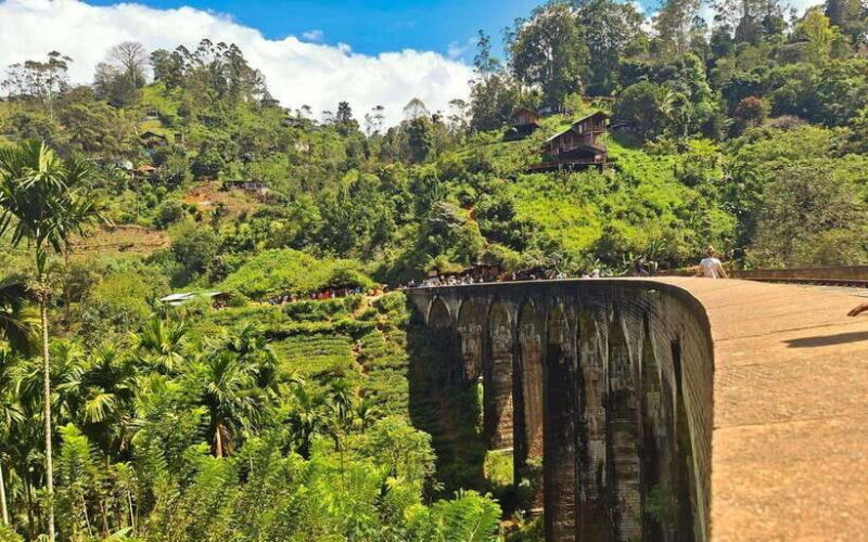 Highlights tour with tasting & Green environment in ella - Price and Value