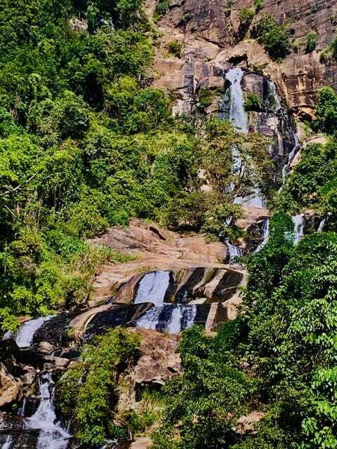 Highlights tour with tasting & Green environment in ella - FAQ