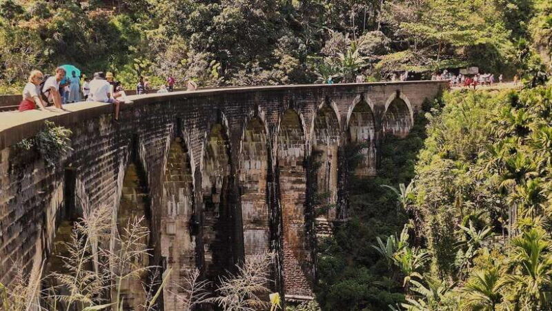 Highlights tour with tasting & Green environment in ella - Good To Know