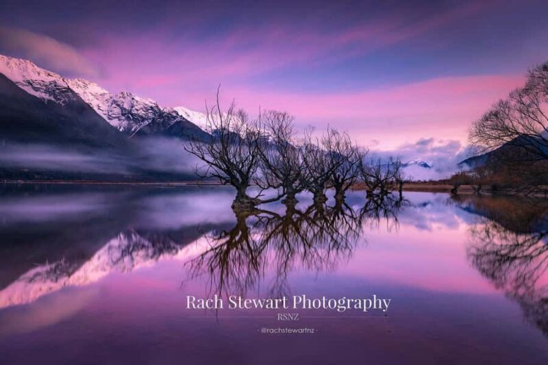 Highlights Tour with Tasting & Sunset in Oia - The Sum Up