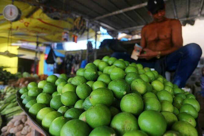 Higüey Countryside, Basilica and Macao Beach Private Tour - Who Is This Tour Best For?