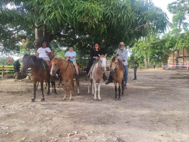 Higüey Cultural Tour: From the Basilica to the Beaches of Macao - Exploring Higüey: A Full Breakdown of What to Expect