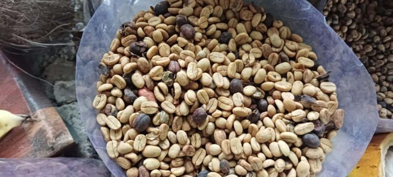 Higuey discovery, coffee and cocoa tasting from punta cana - Final Thoughts: Is It Worth It?