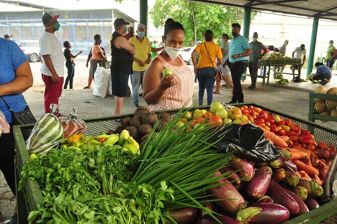 Higuey expedition cultural and historical tour from Punta Cana - Good To Know
