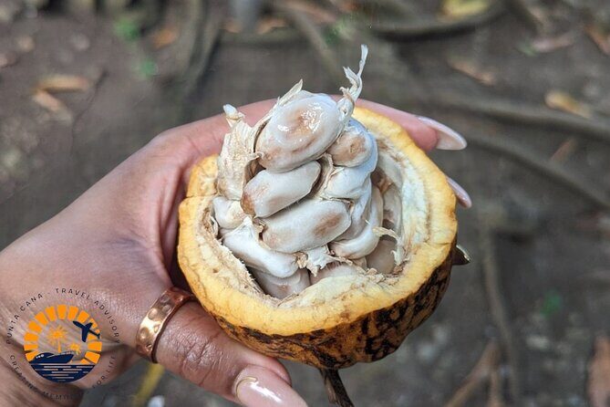 Higuey expedition cultural and historical tour from Punta Cana - The Sum Up: Is It Worth It?