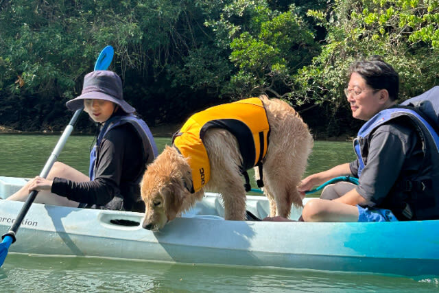 Hija River Kayak (Okinawa) - A calm river outing, not a high-speed thrill ride