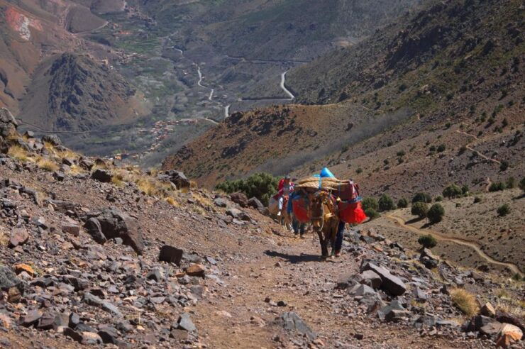 Hike 3 Days in Imlil and in the Valleys of Azzaden - Highlights of the 3-Day Hike