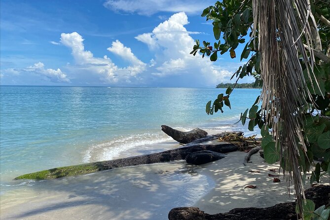 Hike Adventure in Cahuita National Park - Parking Options and End Point