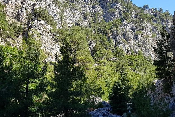Hike Agia Irini Gorge Private Tour (Price per Group of 6) - Start Time and Requirements