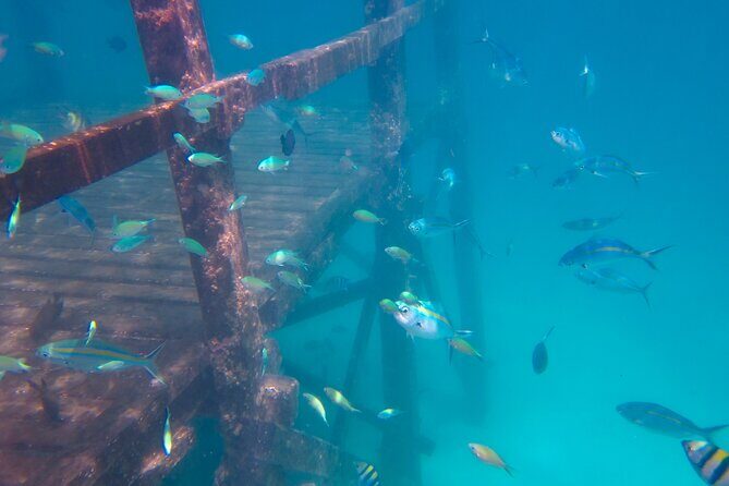 Hike and Dive in Bohey Islands with Local Lunch - The Sum Up