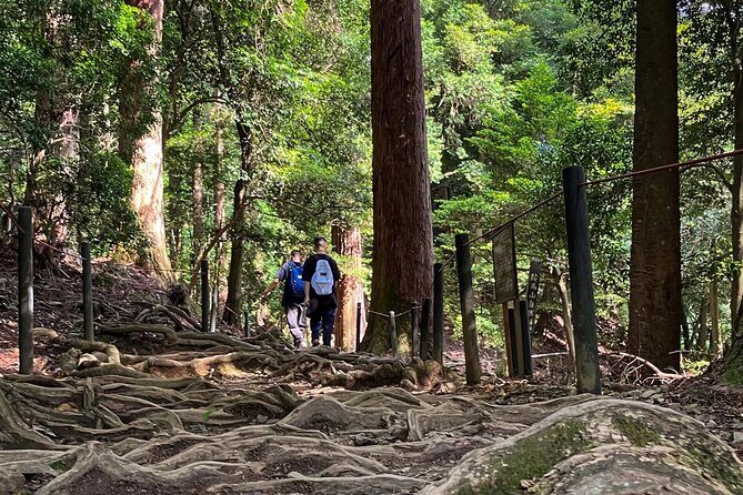 Hike and explore the Kurama and Kibune ancient Paths - A Step-by-Step Breakdown of the Experience
