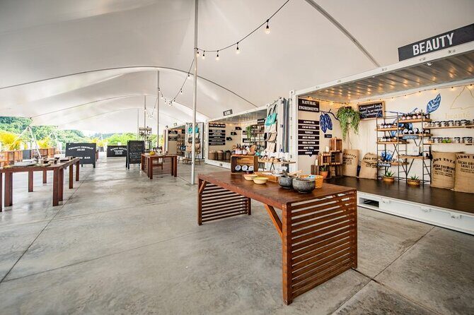 Hike and Mud Bath with Waterfall tour in Soufriere Saint Lucia - Exploring the Itinerary in Detail