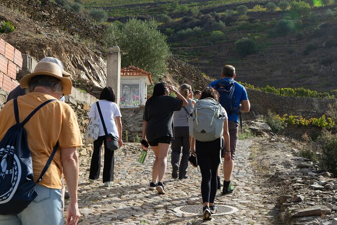 HIKE at DOURO VALLEY W/ Winery Visit and Tasting - Wine Tasting Combination