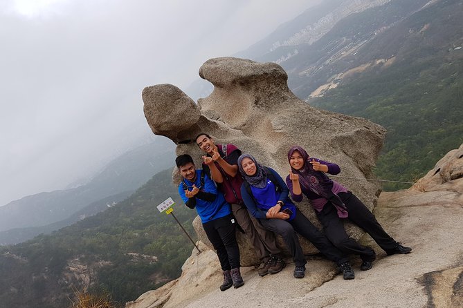 Hike at Mt. Bukhansan National Park With Professional Guide(Including Lunch) - Overview and Highlights