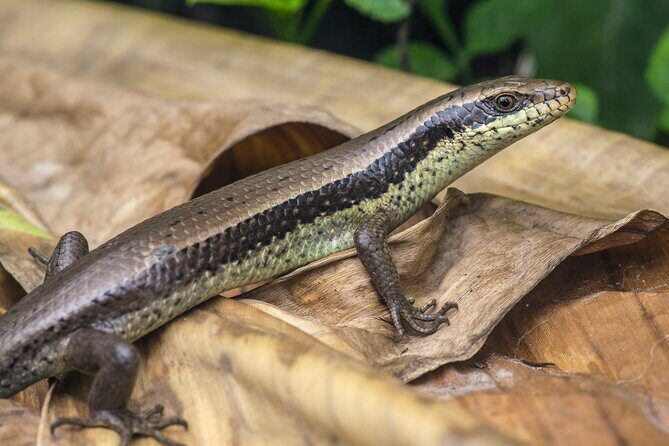 Hike, Bike, and Kayak Through the Heart of Cat Ba National Park - FAQ