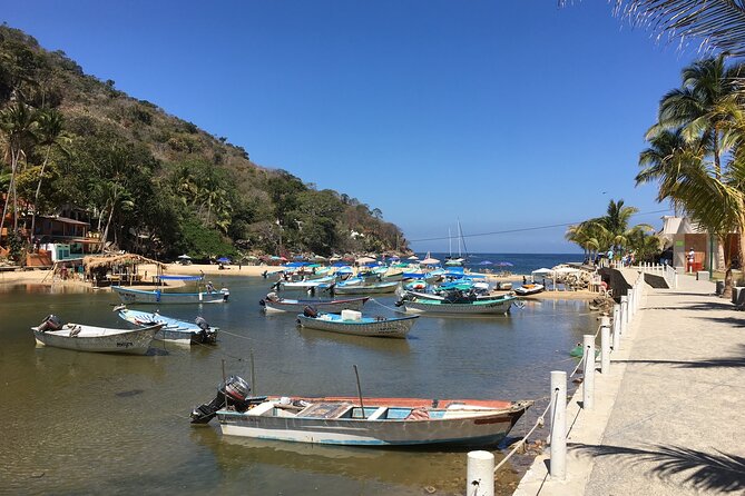 Hike Boca De Tomatlan to Playa Colomitos & Las Animas Beach - Inclusions