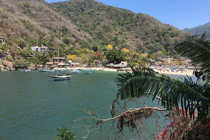 Hike Boca De Tomatlan to Playa Colomitos & Las Animas Beach - Parrot Experience