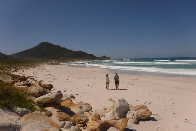 Hike Cape of Good Hope, Cape Point & Penguins Private Customizable Full Day Tour - Key Attractions and Landmarks
