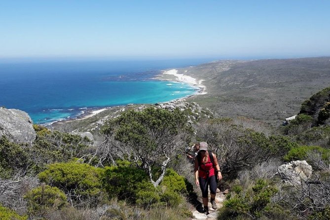 Hike Cape of Good Hope & Cape Point Private Customizable Full Day Tour - Tour Highlights