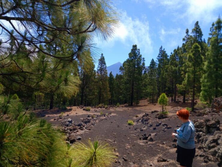 Hike Classic Tenerife - Activity Details