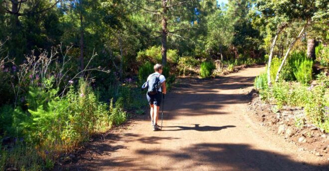 Hike Classic Tenerife - Itinerary