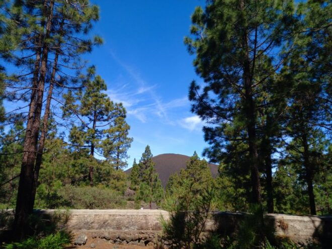 Hike Classic Tenerife - Important Information