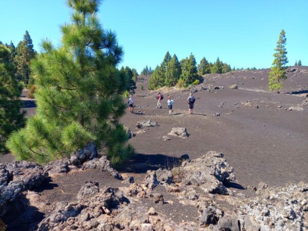 Hike Classic Tenerife - Frequently Asked Questions