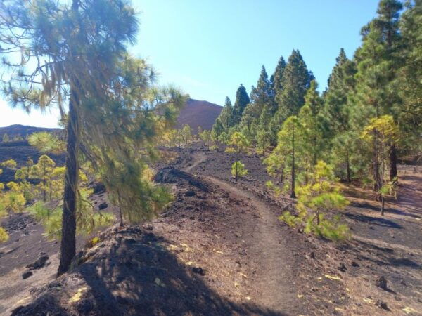 Hike Classic Tenerife - The Sum Up