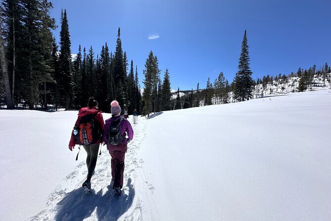 Hike Colorado Trails with Local Guide and Beer Tasting - The Itinerary in Detail