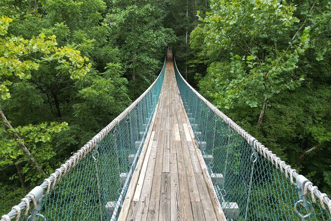 Hike explore and more in The Great Smoky Mountains - Good To Know