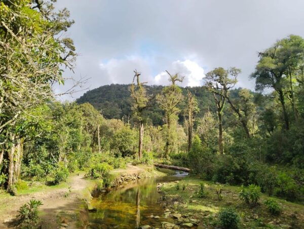 HIKE FANXIPAN MOUNTAIN TOUR 1DAY - Tips for Hikers