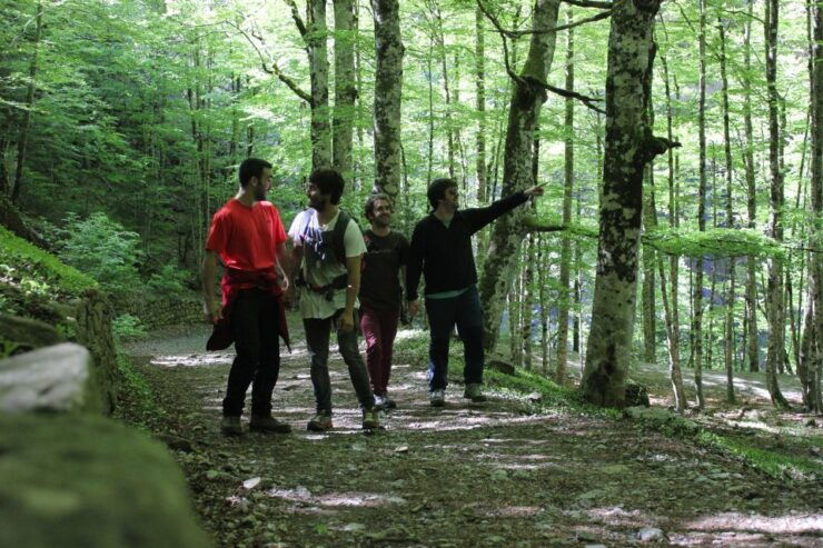 Hike From San Sebastian To San Pedro Across St James Way - Activity Details