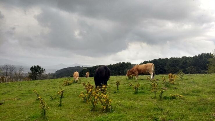 Hike From San Sebastian To San Pedro Across St James Way - Experience Highlights