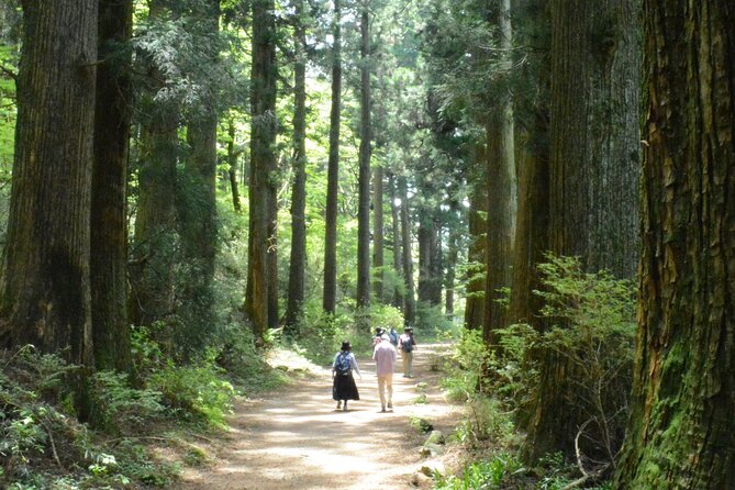Hike Hakone Hachiri - Scenic Highlights