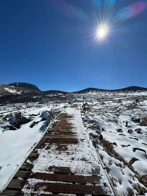 Hike Hallasan on Jeju Island, South Korea's highest mountain - Important Considerations and Restrictions